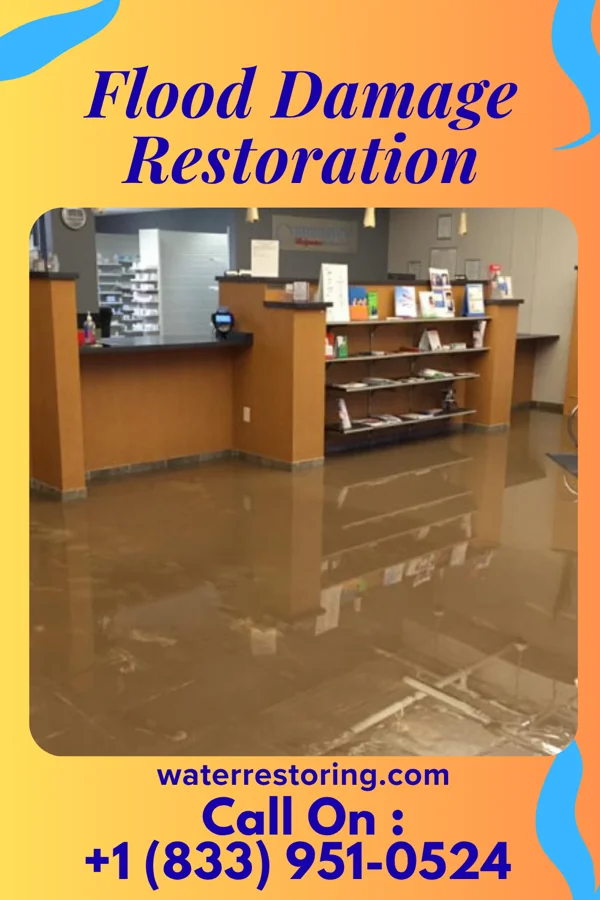 Flood Damage Restoration in Kilmichael, MS
