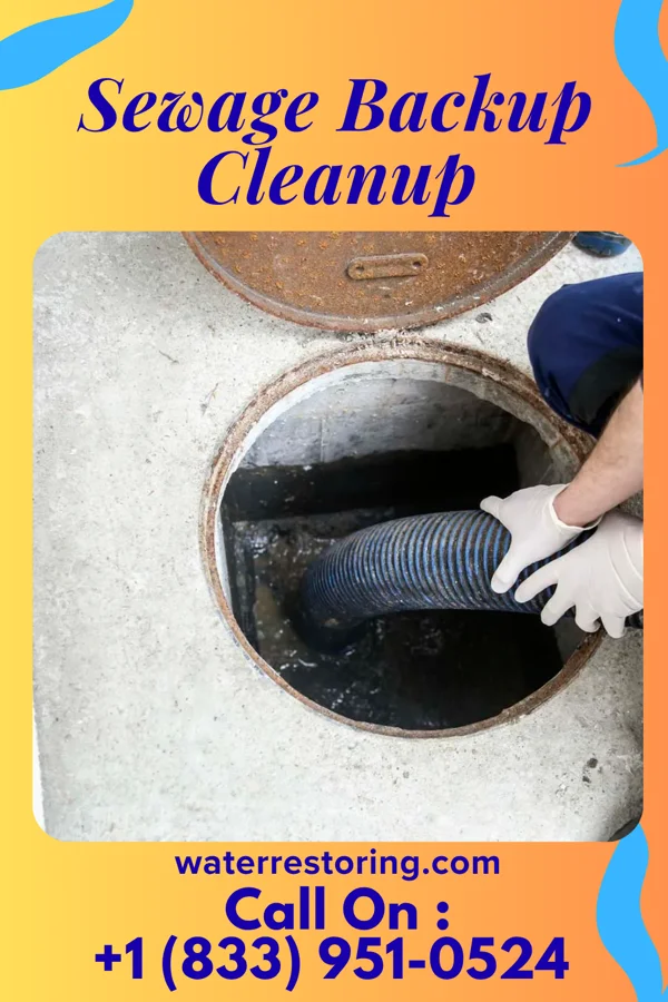 Sewage Backup Cleanup in Kilmichael, MS